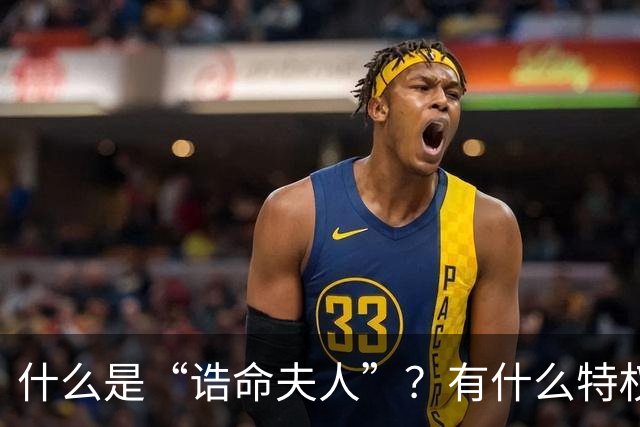 什么是“诰命夫人”？有什么特权和好处